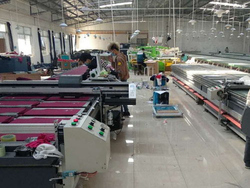 选服装印花厂服务是首要，教育咨询助力优化决策